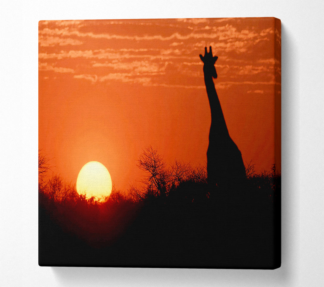  A Canvas Print of African Sunset Giraffe Canvas Wall Art