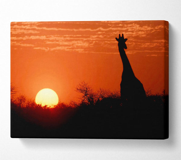  A Canvas Print of African Sunset Giraffe Canvas Wall Art