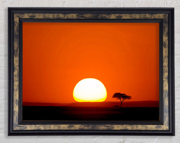 African Sunrise Framed Print