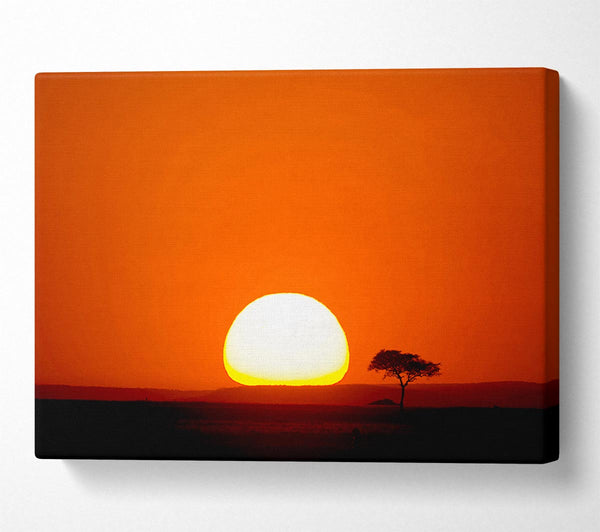  A Canvas Print of African Sunrise Canvas Print