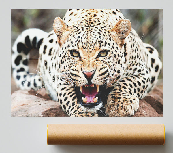 Amazing Cheetah Print
