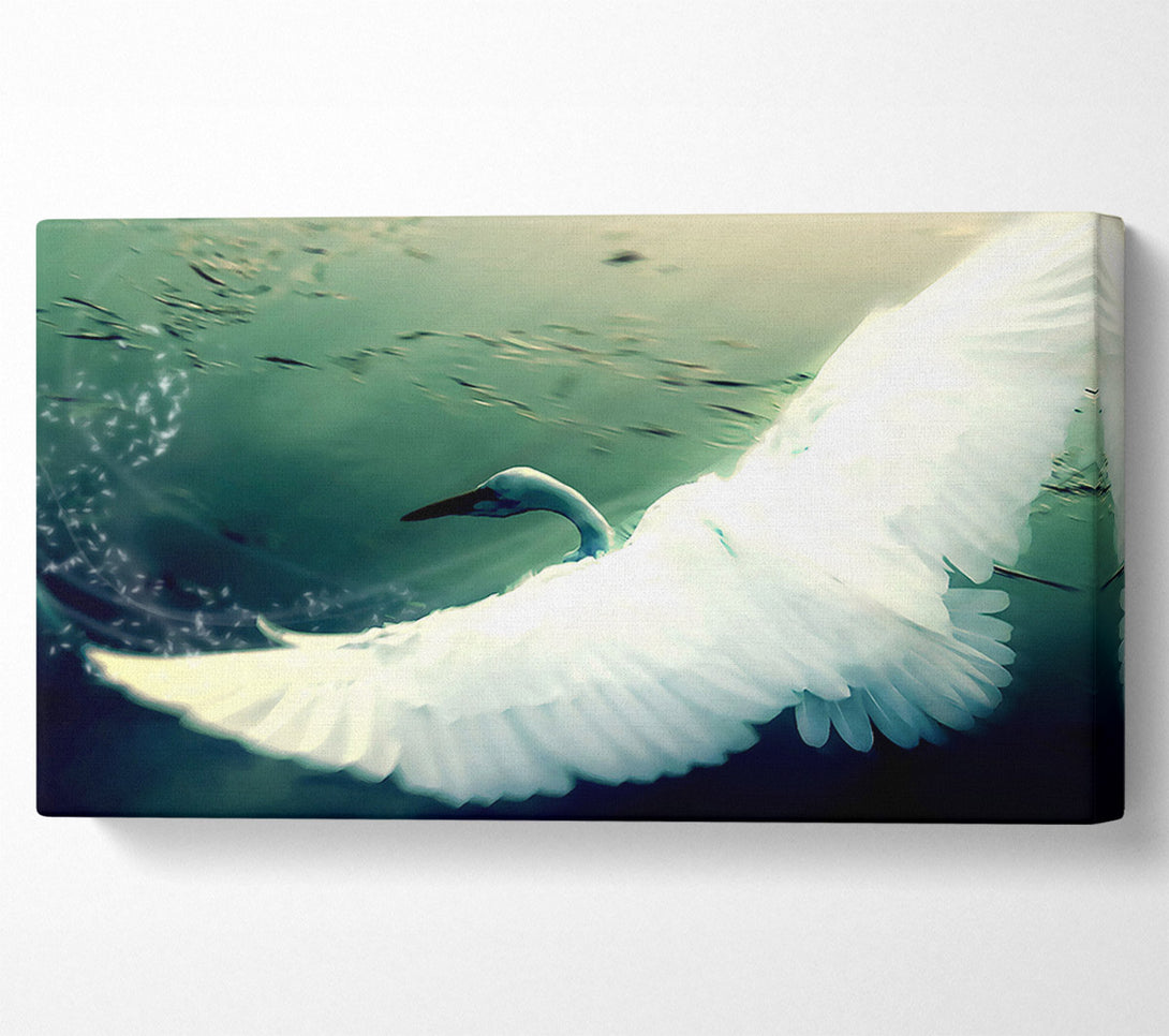  A Canvas Print of Another Perspective Canvas Wall Art