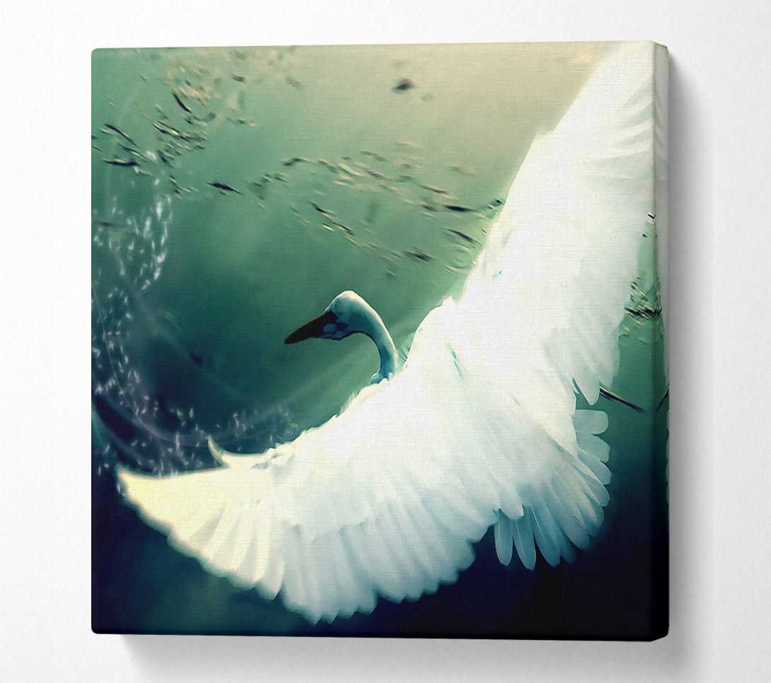  A Canvas Print of Another Perspective Canvas Wall Art