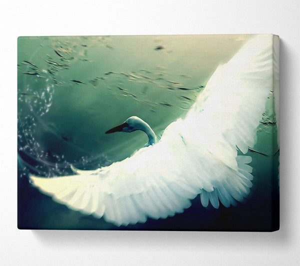  A Canvas Print of Another Perspective Canvas Wall Art
