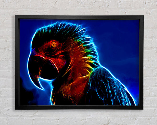 Rainbow Parrot Framed Print
