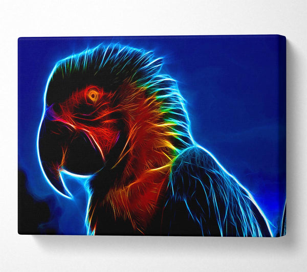  A Canvas Print of Rainbow Parrot Canvas Wall Art