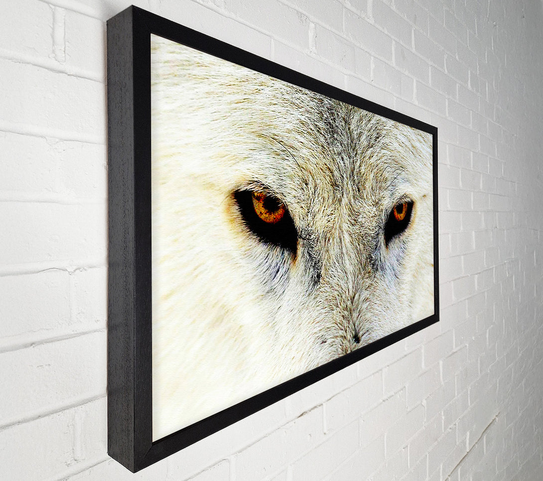 A Canvas Print of Arctic Wolf Eyes Canvas Print