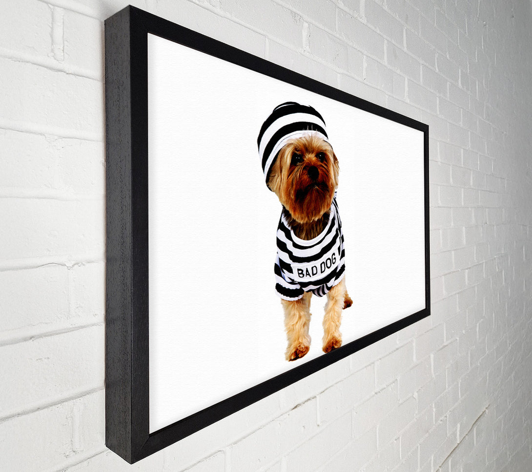  A Canvas Print of Bad Dog Canvas Print