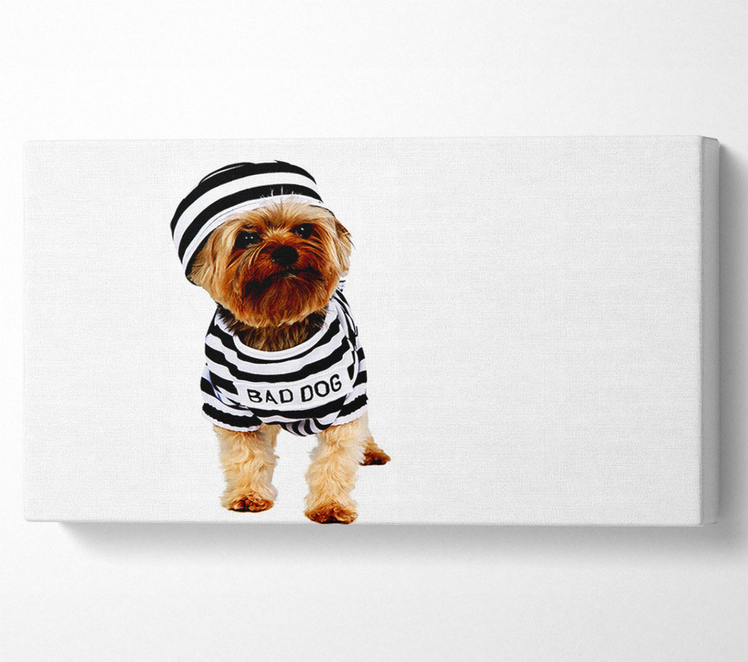 A Canvas Print of Bad Dog Canvas Print