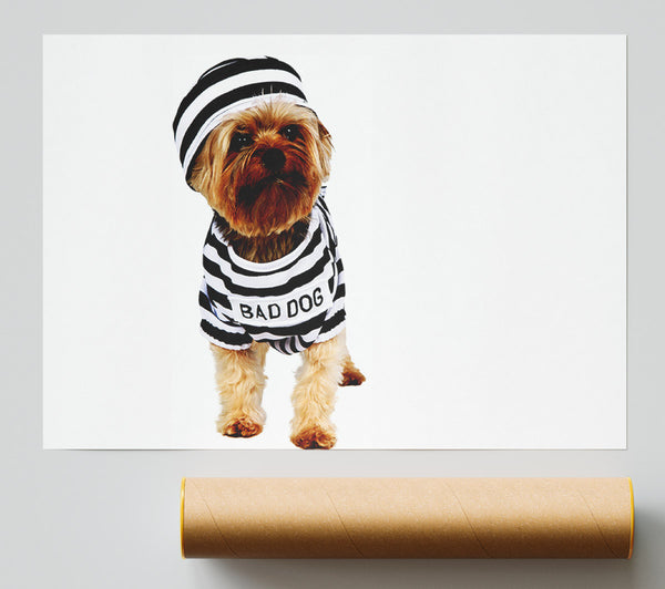 Bad Dog Print
