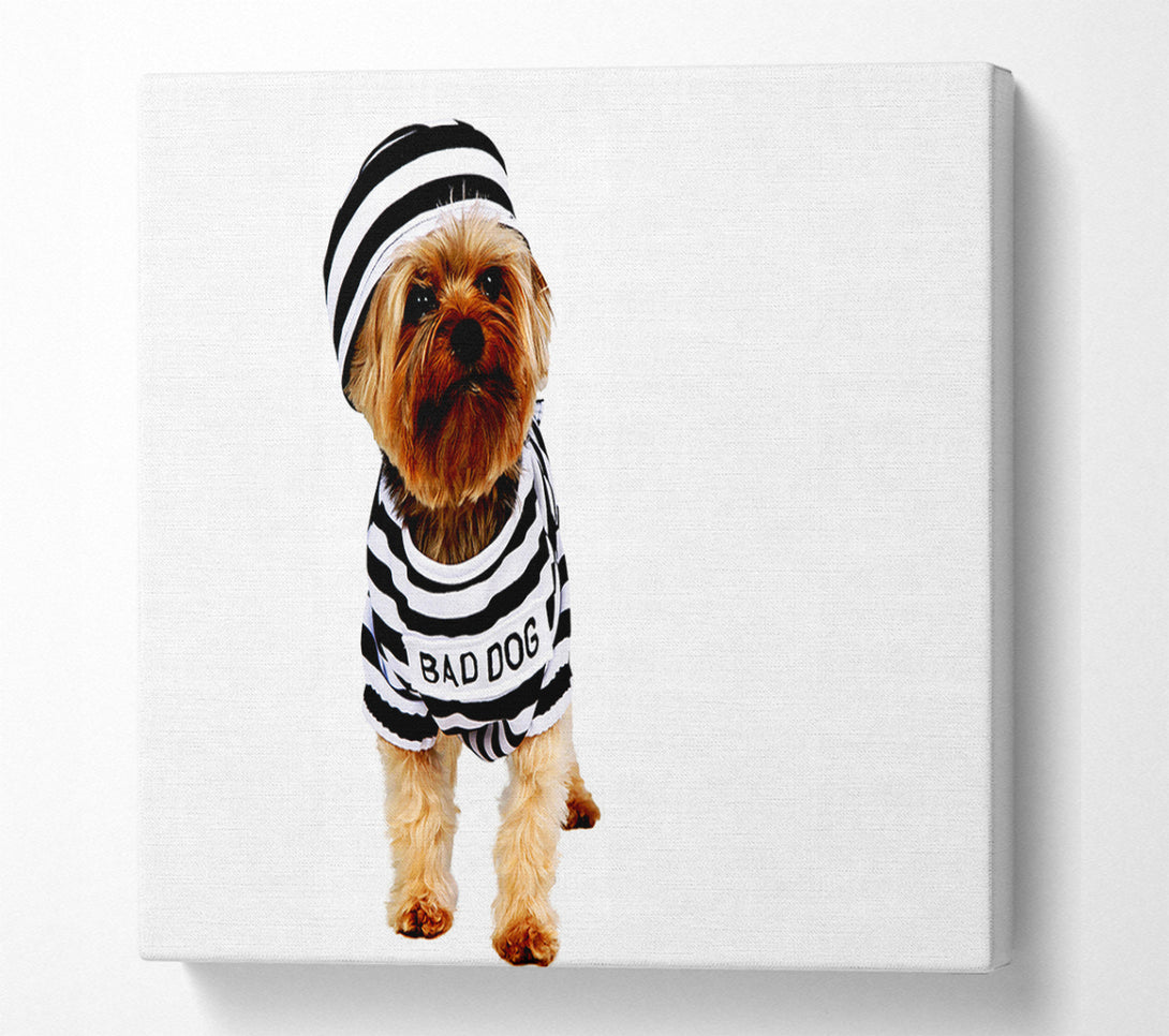  A Canvas Print of Bad Dog Canvas Print