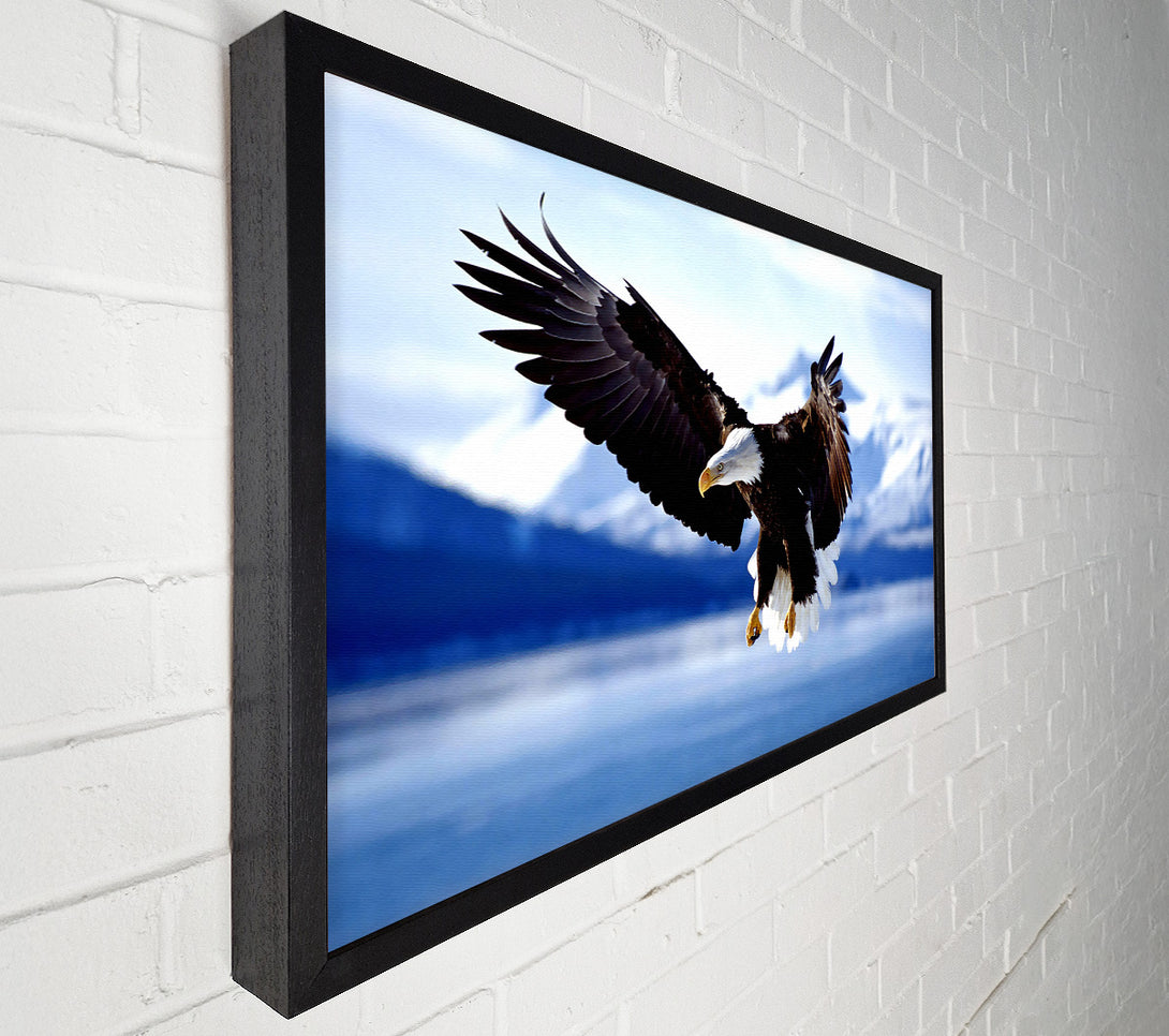  A Canvas Print of Bald Eagle In Flight Alaska Canvas Art