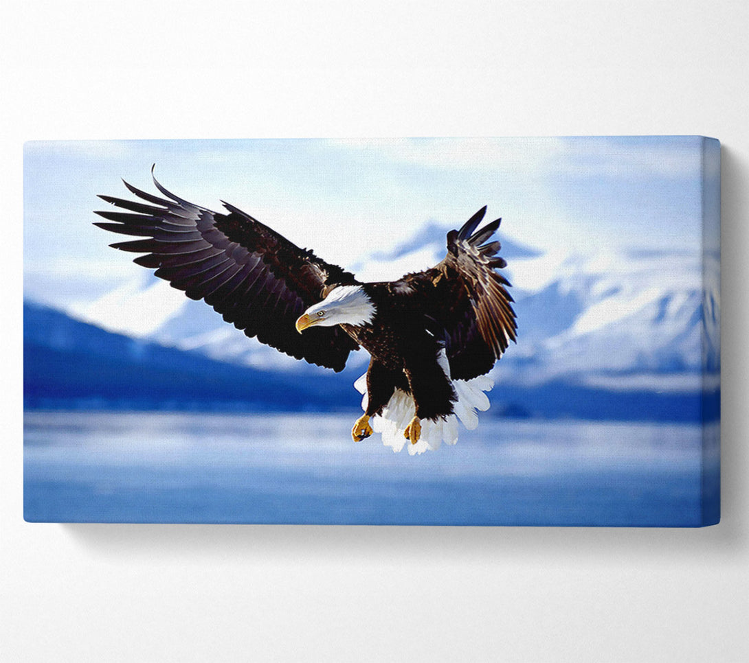  A Canvas Print of Bald Eagle In Flight Alaska Canvas Art