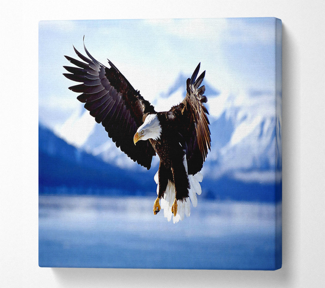 A Canvas Print of Bald Eagle In Flight Alaska Canvas Art