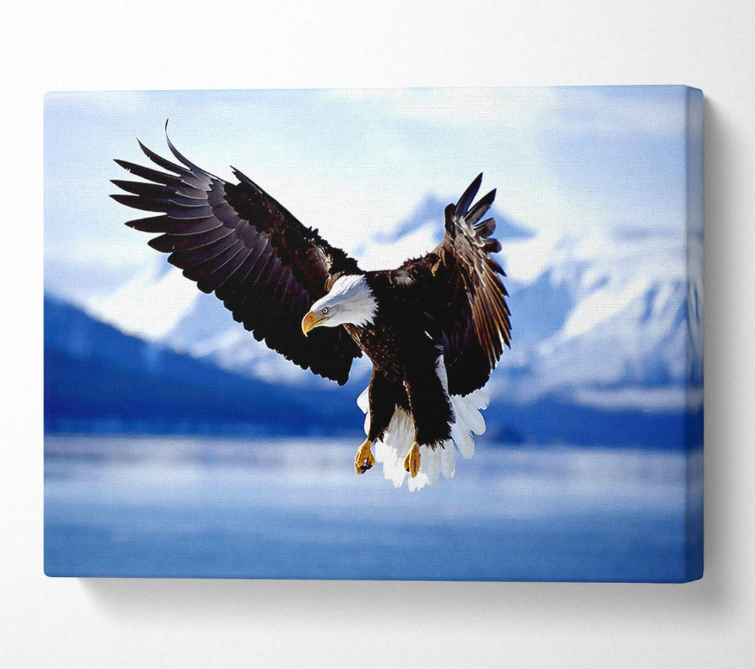  A Canvas Print of Bald Eagle In Flight Alaska Canvas Art