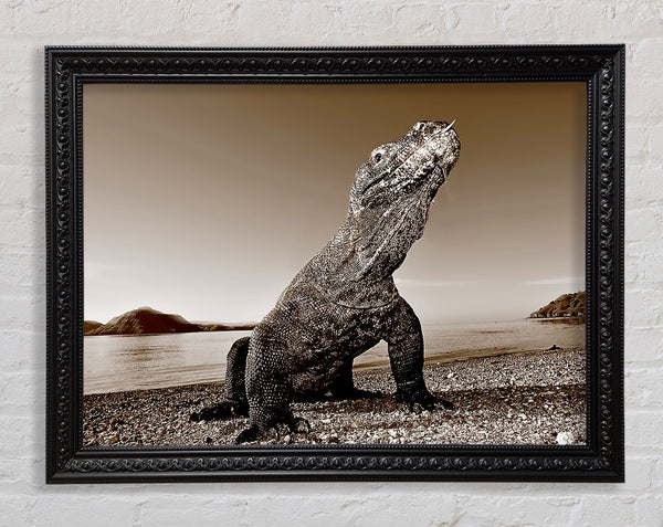 Beach Komodo Dragon Framed Print
