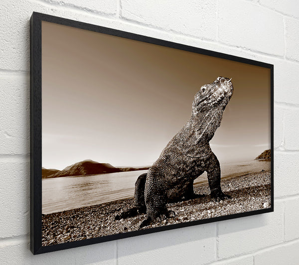 Beach Komodo Dragon