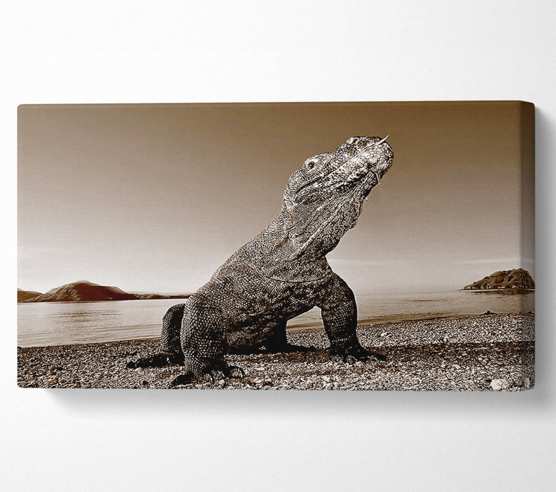  A Canvas Print of Beach Komodo Dragon Canvas Art