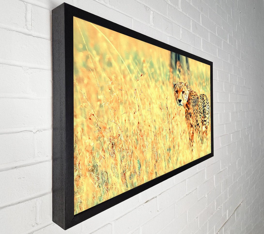  A Canvas Print of Beautiful Cheetah Canvas Wall Art