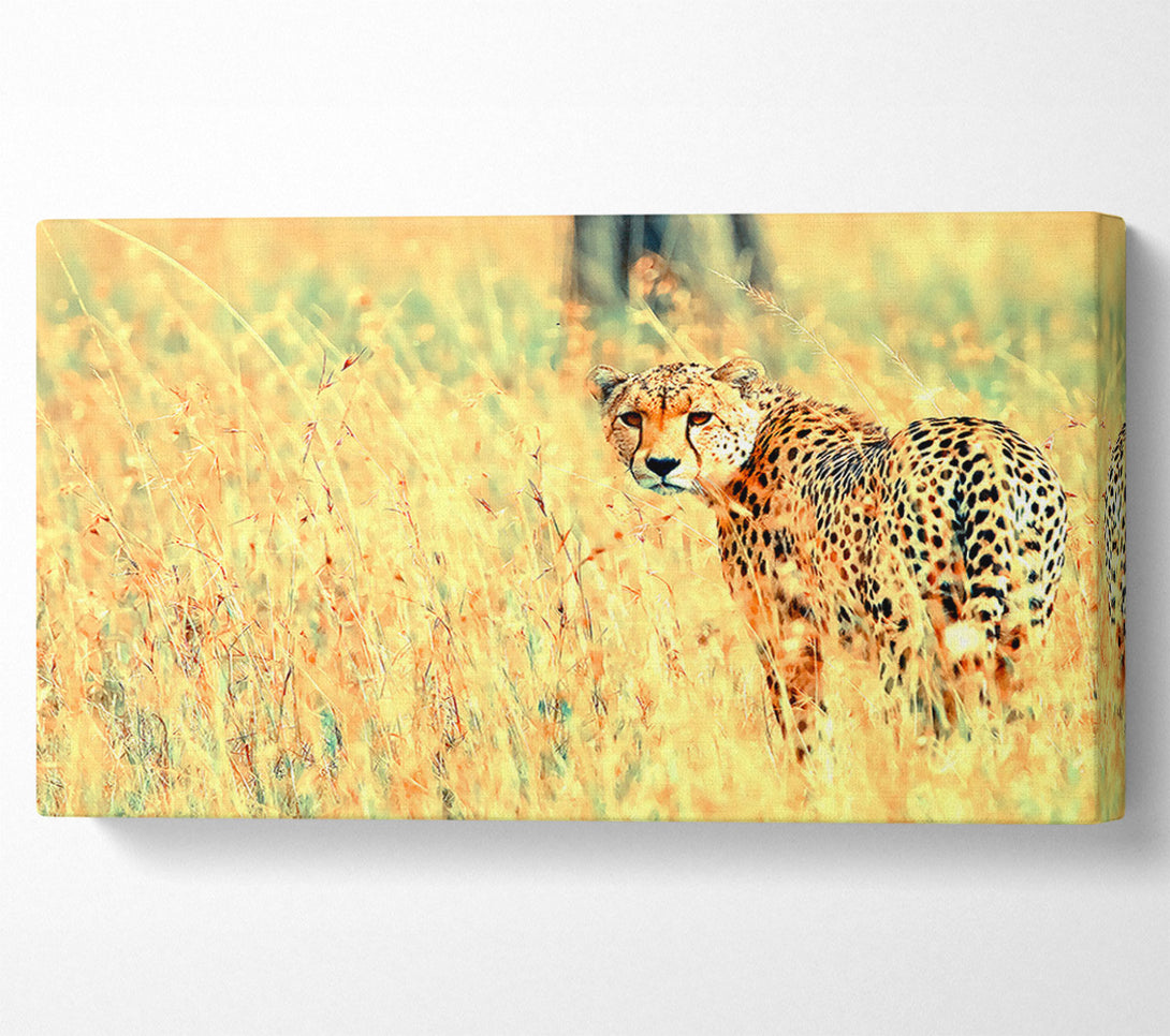  A Canvas Print of Beautiful Cheetah Canvas Wall Art