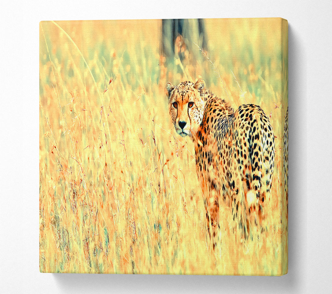  A Canvas Print of Beautiful Cheetah Canvas Wall Art