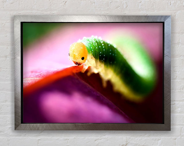 Schöne Caterpiller warten