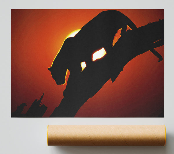 Big Cat In Sunlight Giclee Print