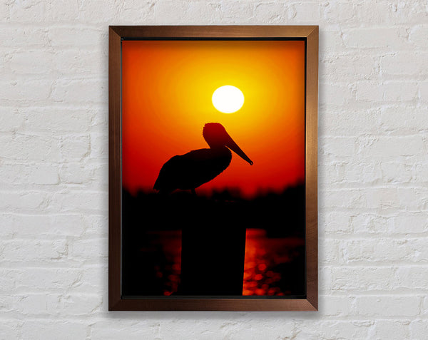 Bird At Sunset Framed Print