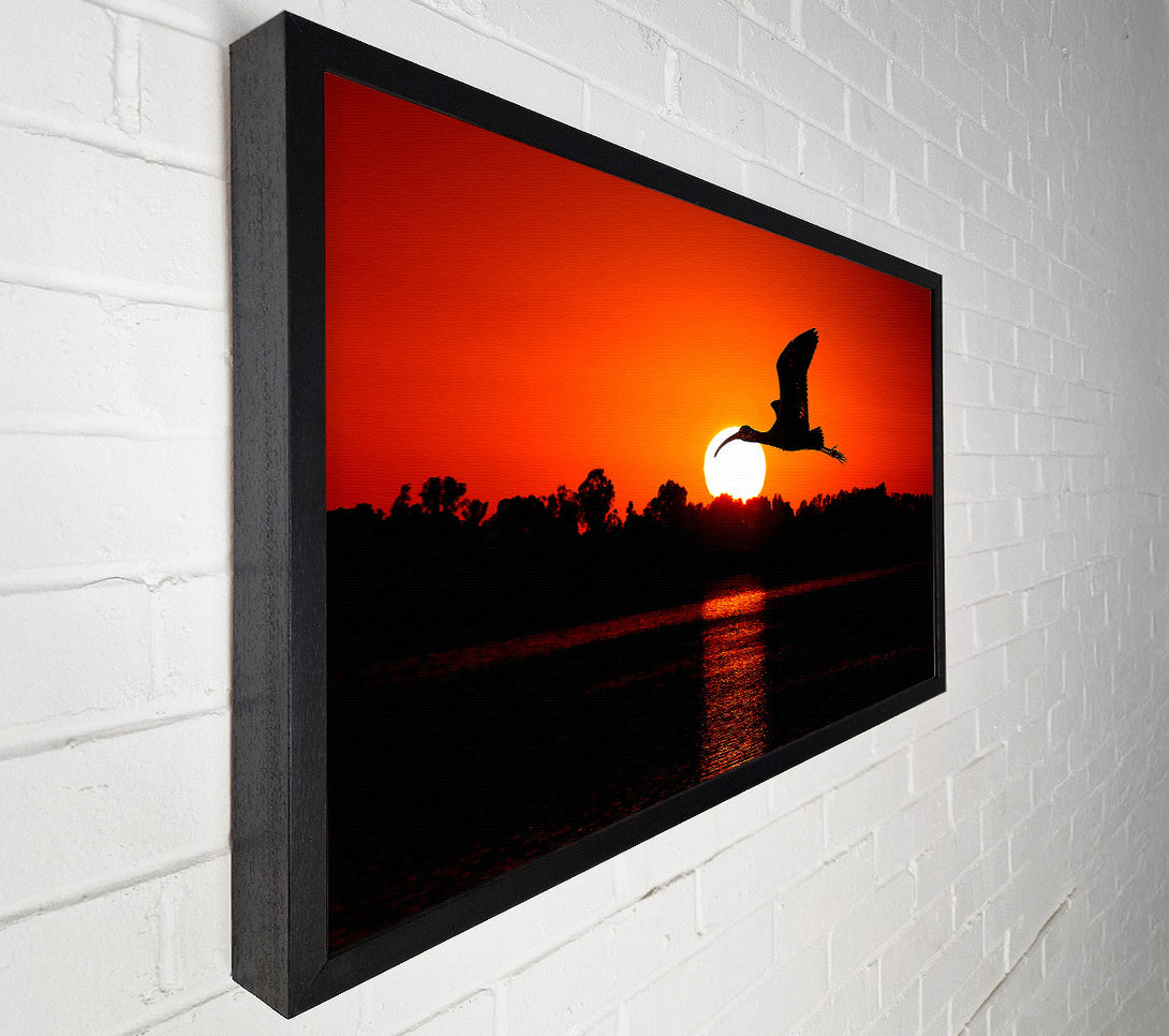  A Canvas Print of Bird Flying At Sunset Canvas Wall Art