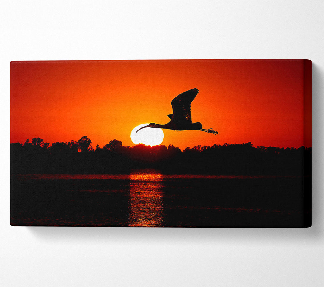  A Canvas Print of Bird Flying At Sunset Canvas Wall Art