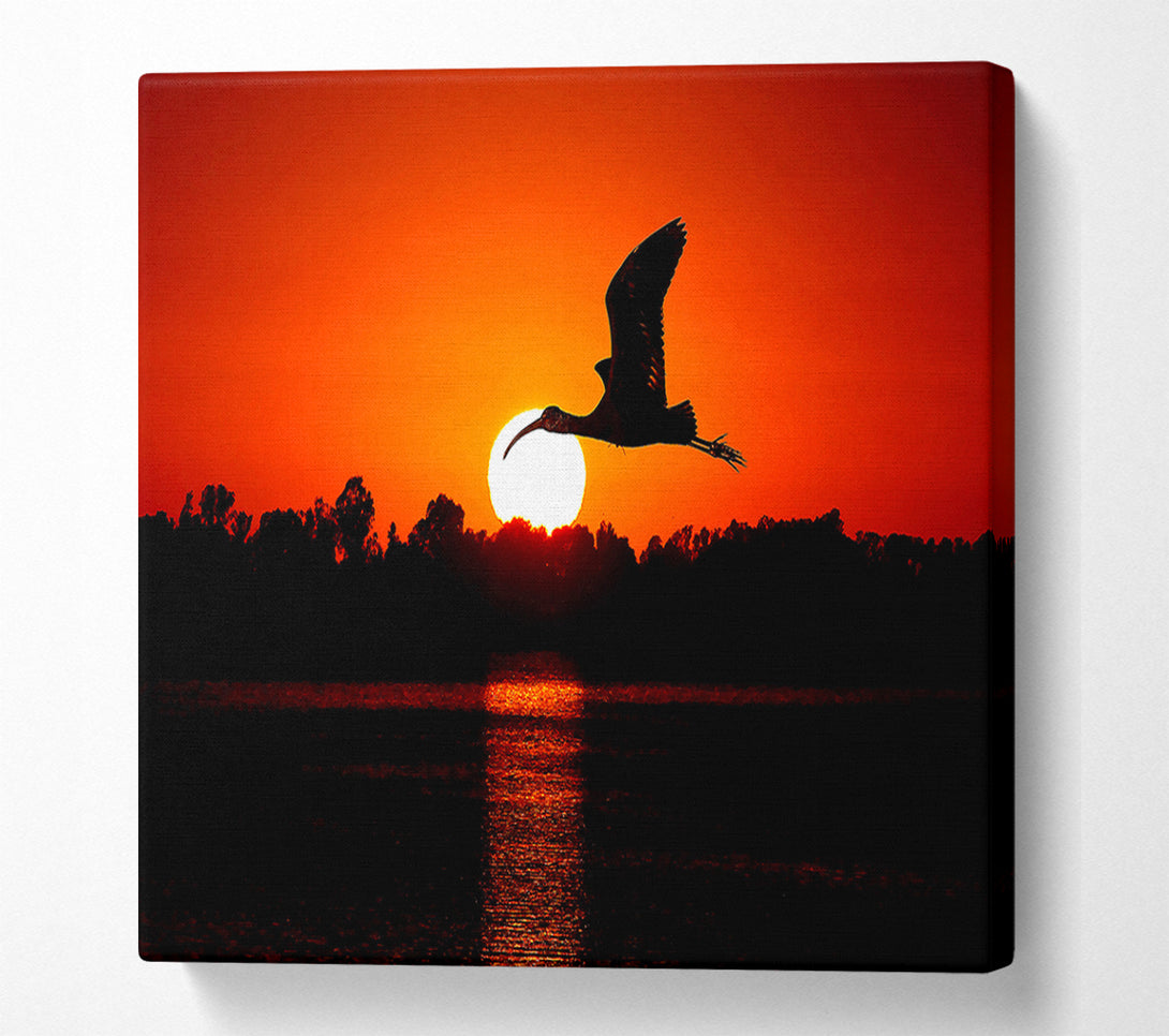  A Canvas Print of Bird Flying At Sunset Canvas Wall Art