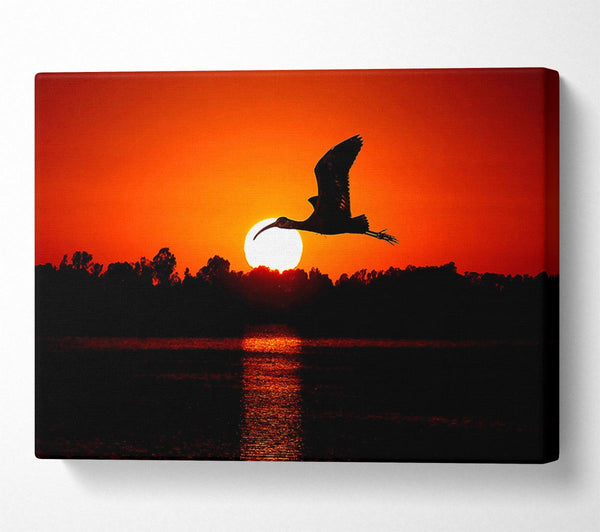  A Canvas Print of Bird Flying At Sunset Canvas Wall Art