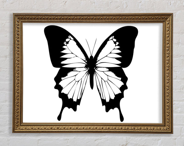 Black And White Butterfly Wings Framed Print