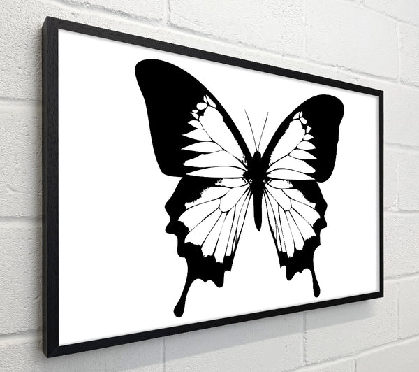 Black And White Butterfly Wings