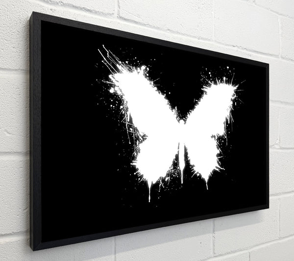 Black And White Butterfly