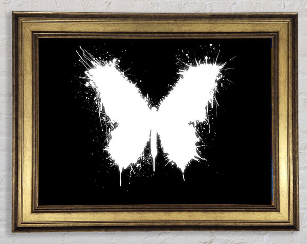 Black And White Butterfly Framed Print