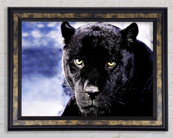 Black Panther Framed Print