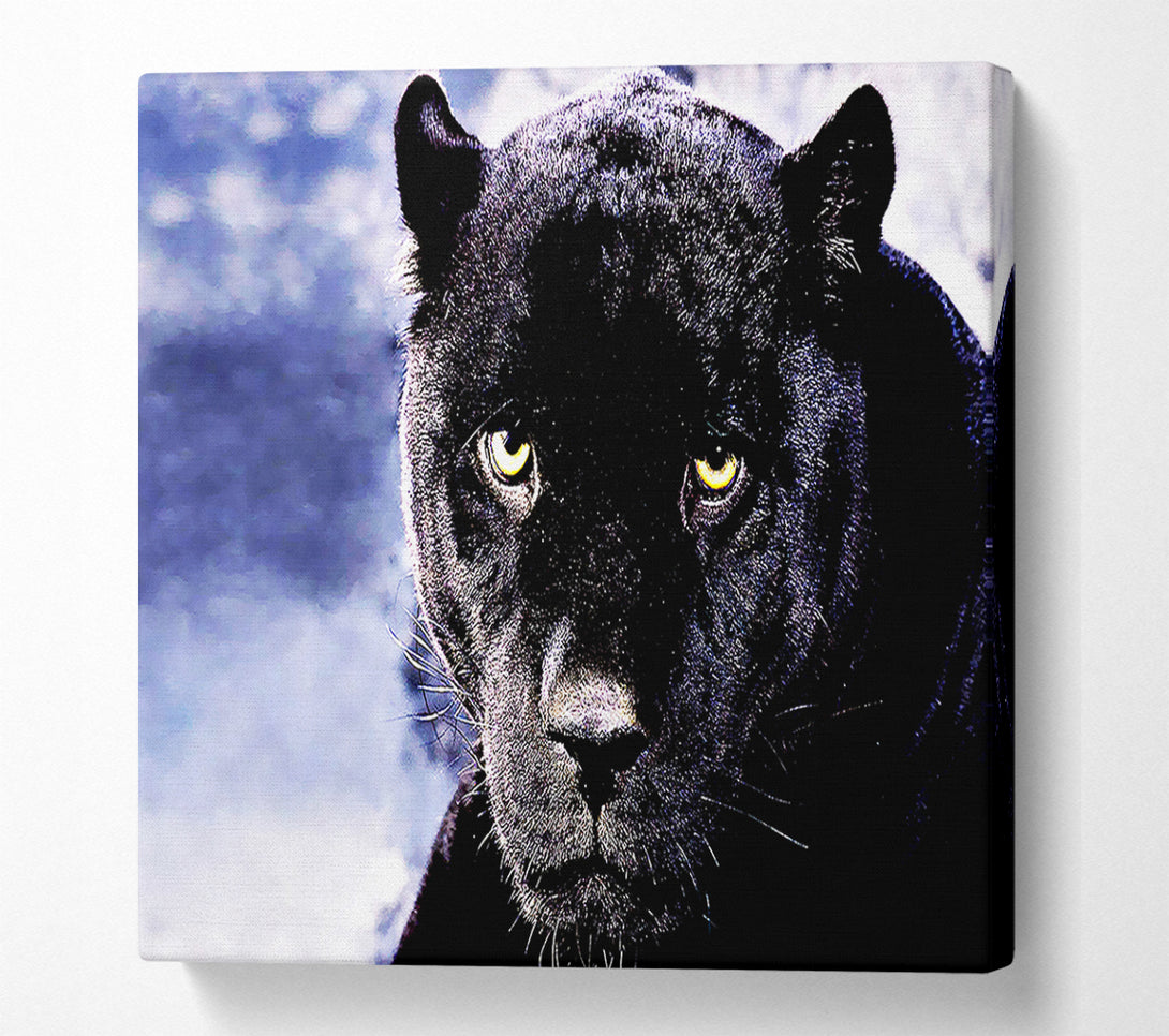  A Canvas Print of Black Panther Canvas Print