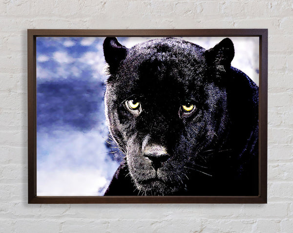 Black Panther Framed Print