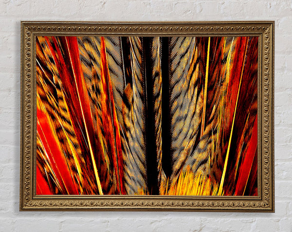 Blazing Feathers Framed Print