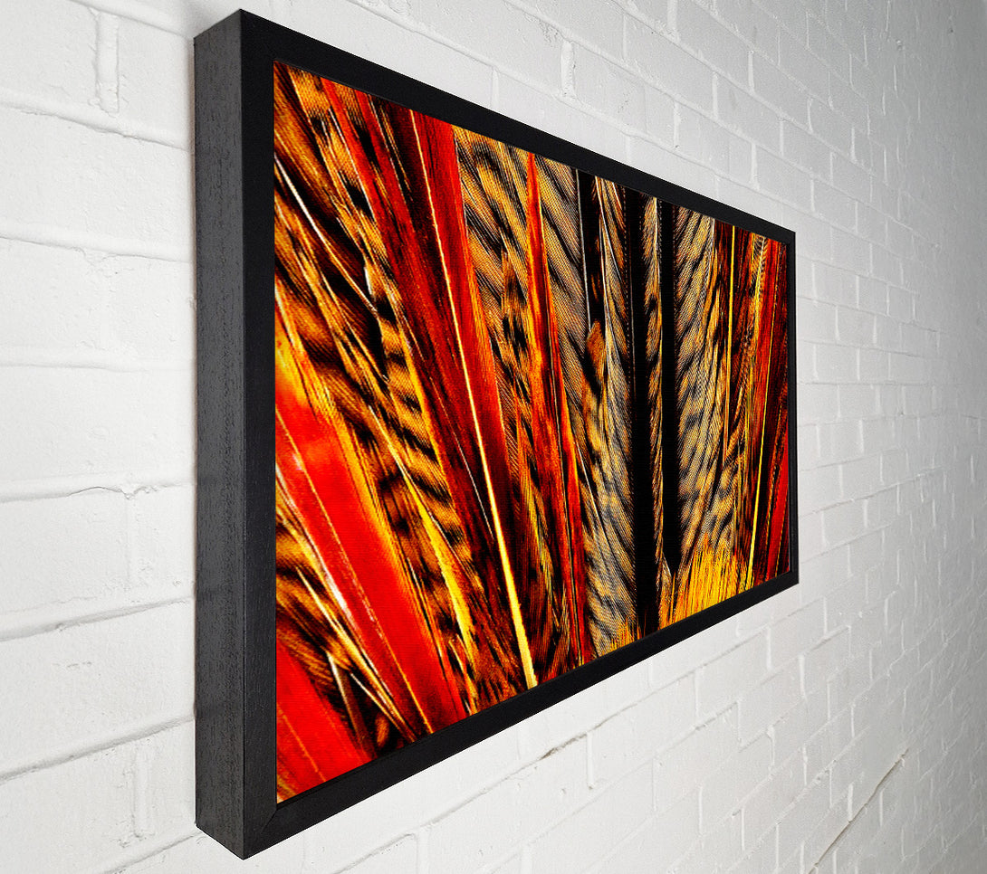  A Canvas Print of Blazing Feathers Canvas Wall Art