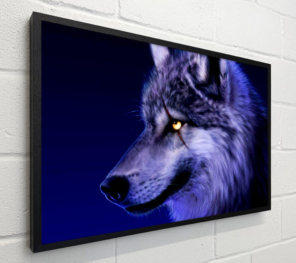 Blue Wolf Eye