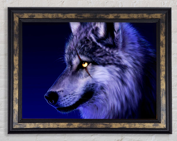 Blue Wolf Eye Framed Print