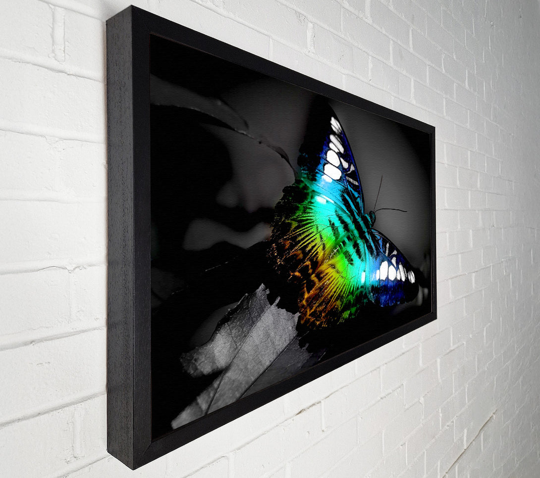  A Canvas Print of Bright Butterfly Canvas Wall Art