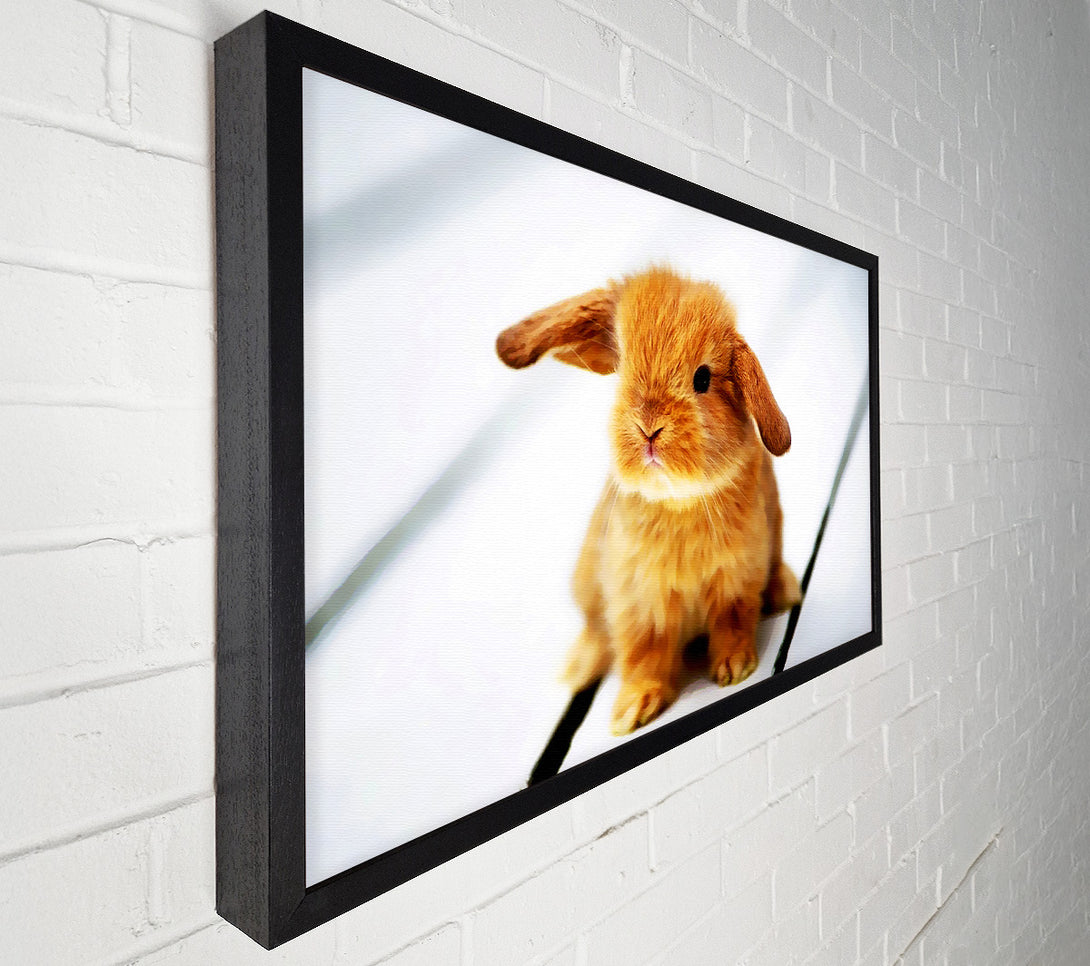  A Canvas Print of Bunny Rabbit Ears Canvas Art