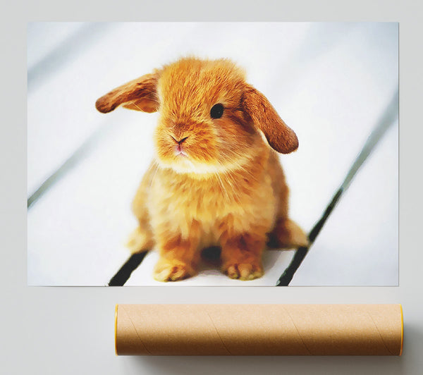 Bunny Rabbit Ears Giclee Print