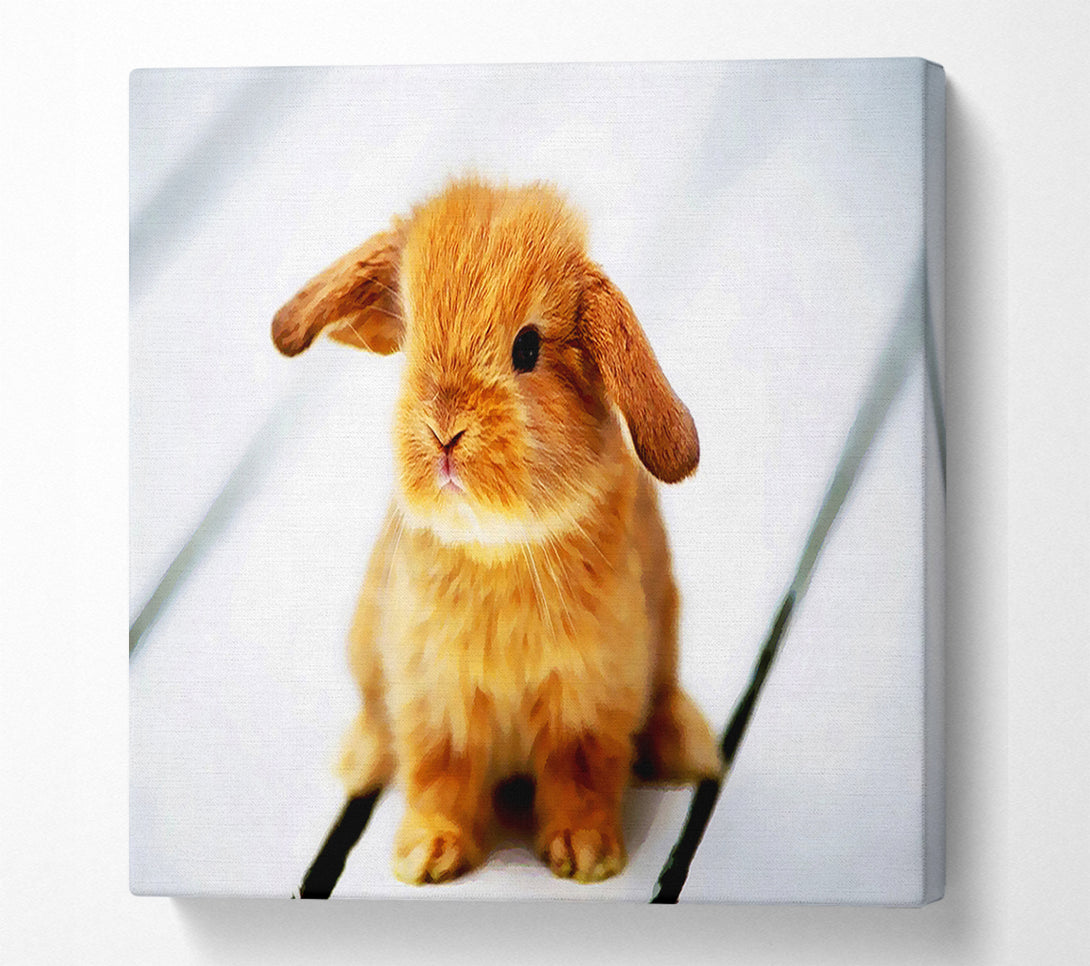  A Canvas Print of Bunny Rabbit Ears Canvas Art