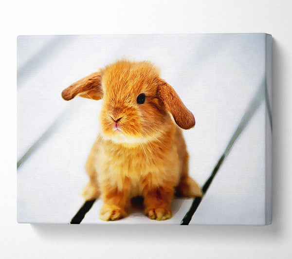  A Canvas Print of Bunny Rabbit Ears Canvas Art