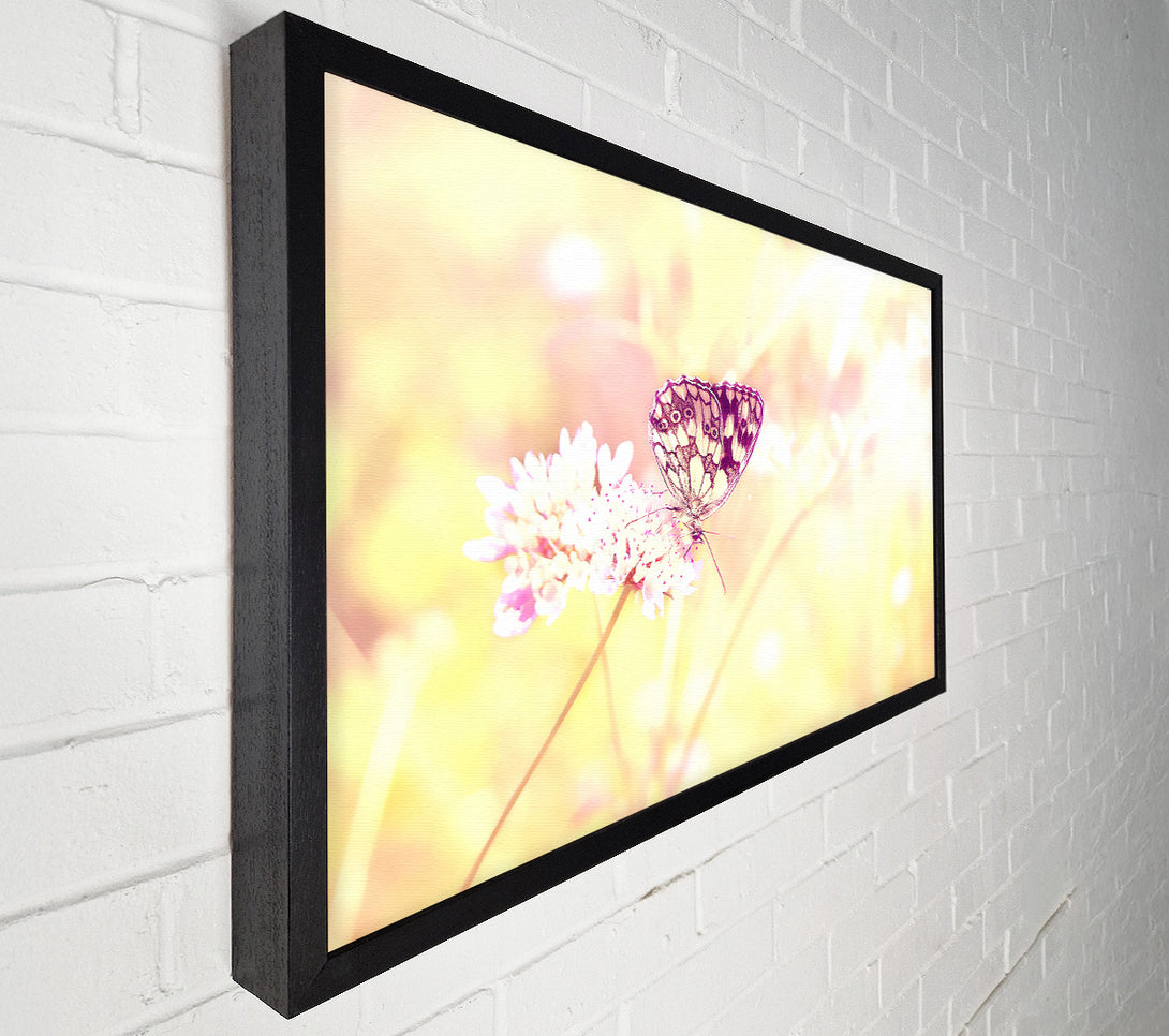  A Canvas Print of Butterfly Haze Canvas Wall Art