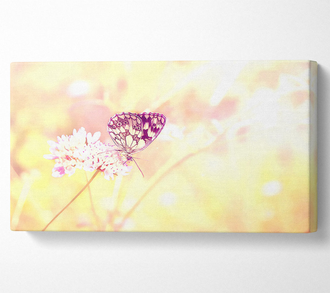  A Canvas Print of Butterfly Haze Canvas Wall Art